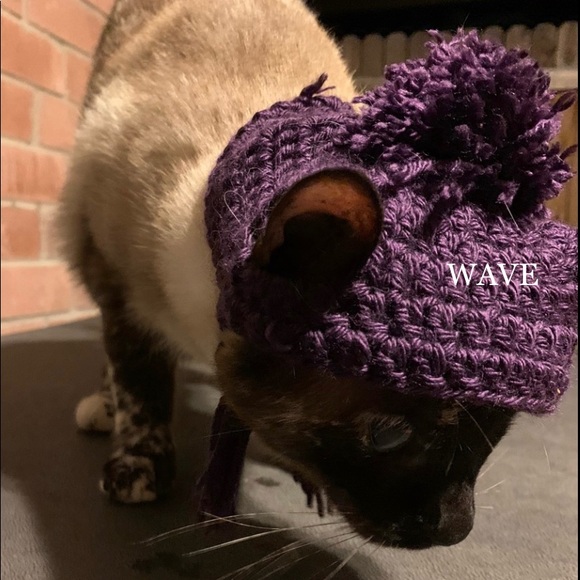 🐈‍⬛🐈😻matching beanie for your cat😽😸pom&braids - Picture 12 of 12